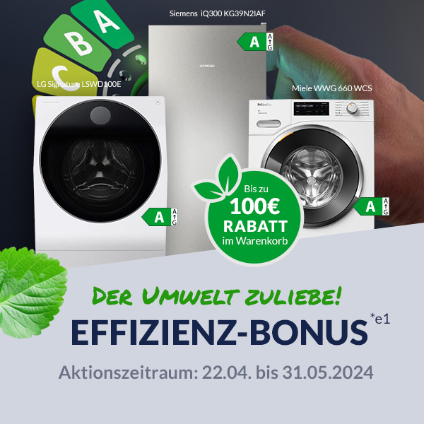 Effizienz-Bonus: Jetzt 100€ Warenkorb-Rabatt sichern!